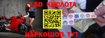 шишки Волгодонск