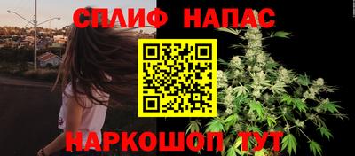 шишки Волгодонск