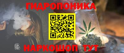 шишки Волгодонск