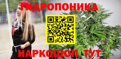 индика Волжск