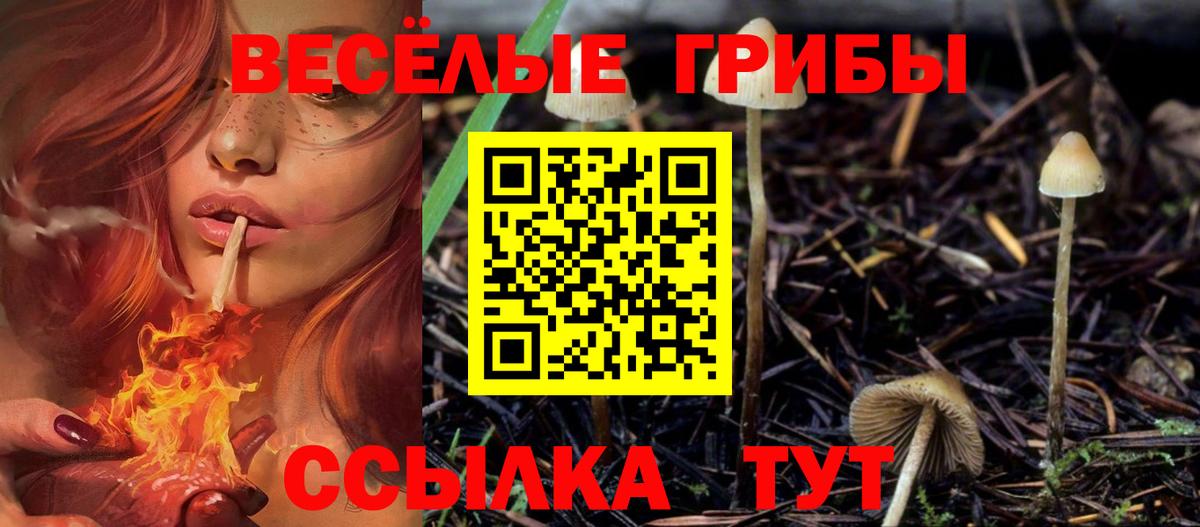 Псилоцибиновые грибы MAGIC MUSHROOMS  Вход с VPN  где найти наркотики  Томск 